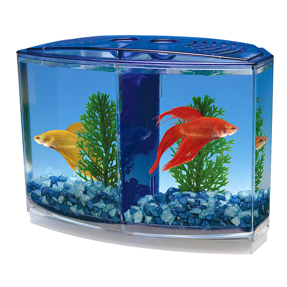 Betta Santuary (Double)