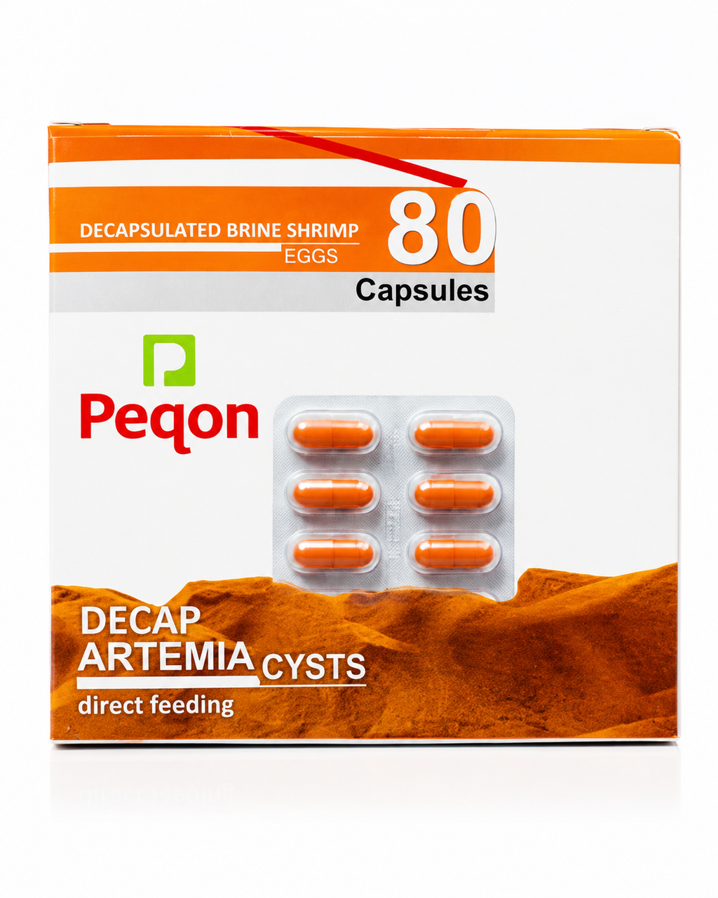Artemia Cyst