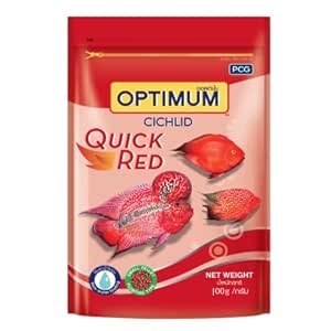 Cichlid quick red Food