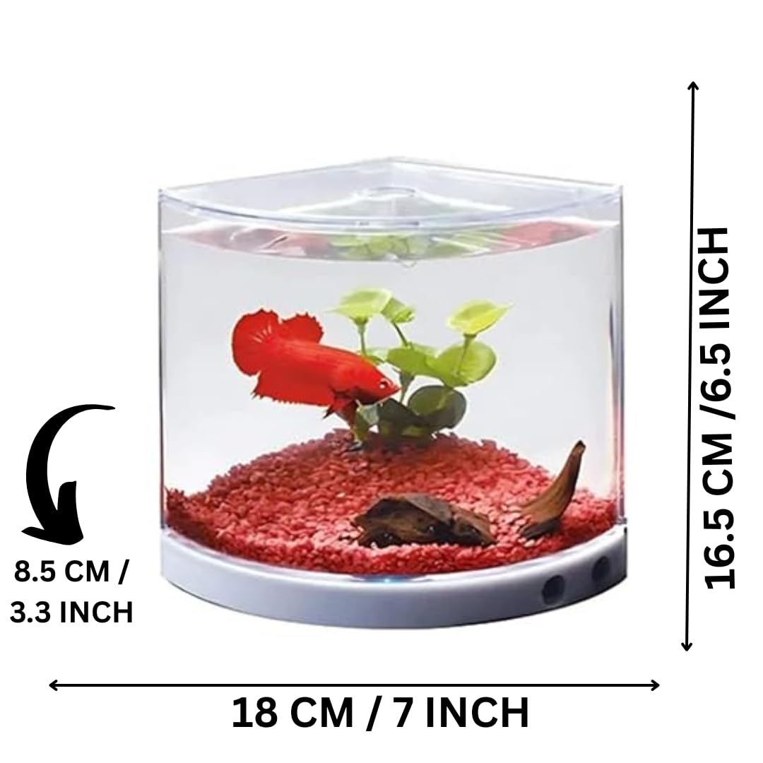 Dophin T201 Mini Aquarium Fish Tank | Changeable Light | Elegant and Stylish Design | Ideal for Betta, Small Fish and Plant Keeping | Capacity - 1.4L Fish Tank