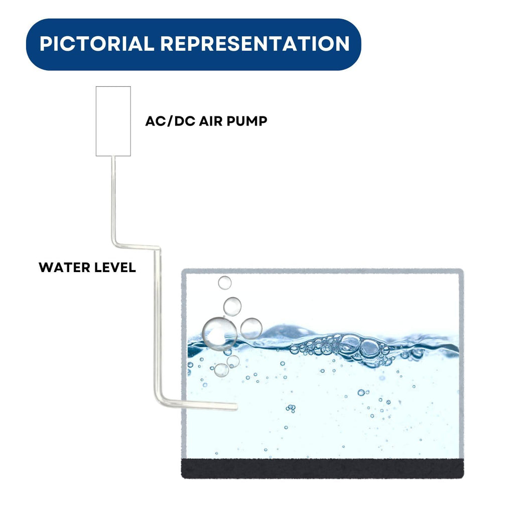 Dophin BP189 Air Pump | AC/DC Auto Convert Pump for Aquarium | Output: 500mL/min | Suitable for Fish Tank Size 30/120L