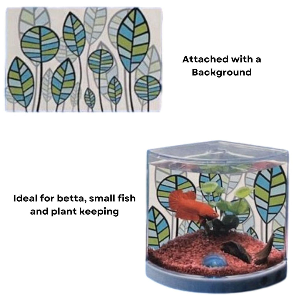 Dophin T101 Mini Aquarium Fish Tank | Single Light | Elegant and Stylish Design | Ideal for Betta, Small Fish and Plant Keeping | Capacity - 1.4L