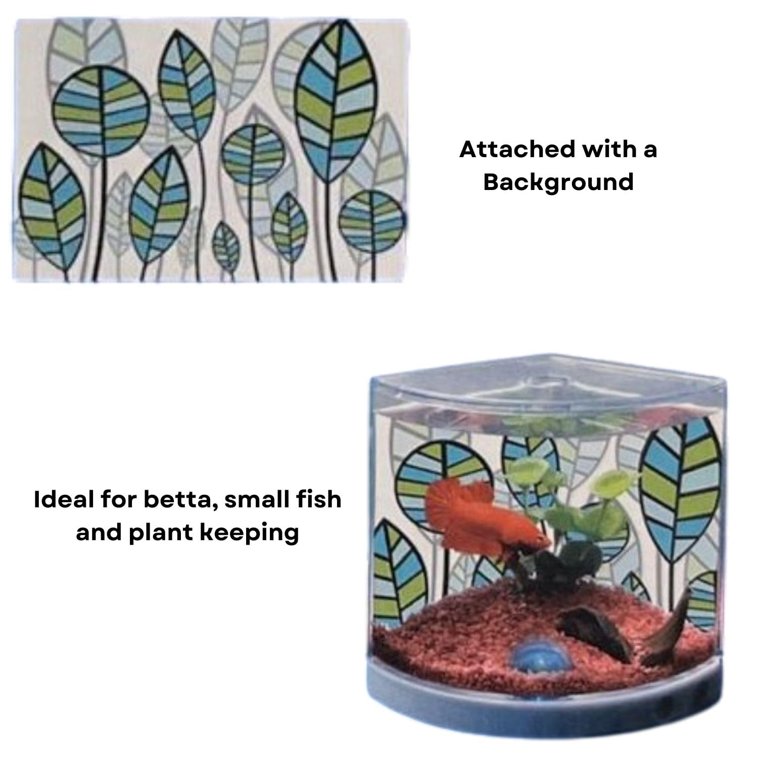 Dophin T101 Mini Aquarium Fish Tank | Single Light | Elegant and Stylish Design | Ideal for Betta, Small Fish and Plant Keeping | Capacity - 1.4L