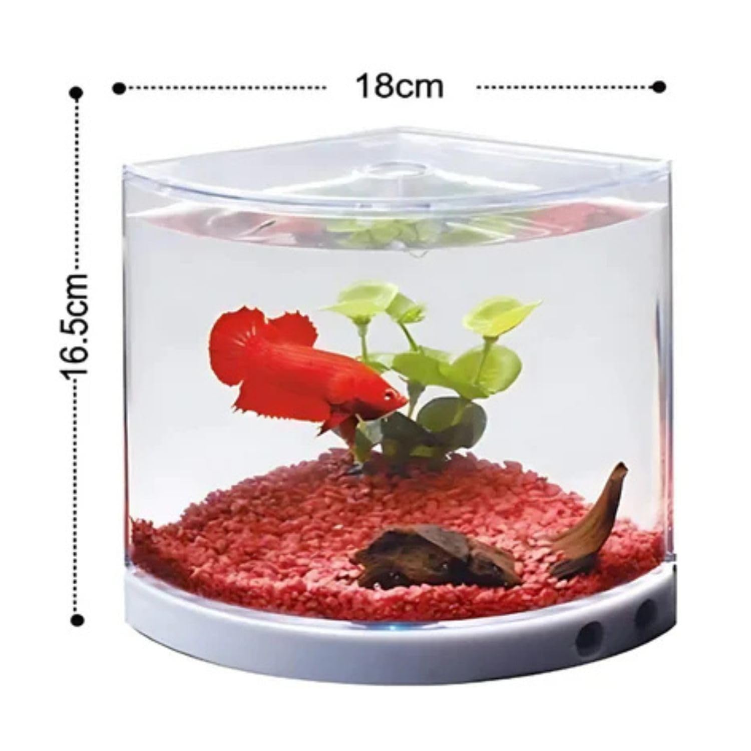 Dophin T101 Mini Aquarium Fish Tank | Single Light | Elegant and Stylish Design | Ideal for Betta, Small Fish and Plant Keeping | Capacity - 1.4L