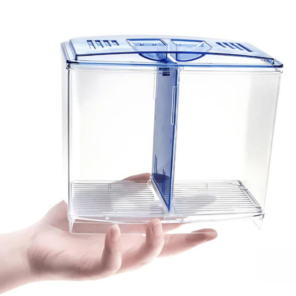 Dophin BT104 Aquarium Betta Fish Tank | Ideal for Betta, Small Fishes and Plant Keeping | Capacity - 1L Fish Tank
