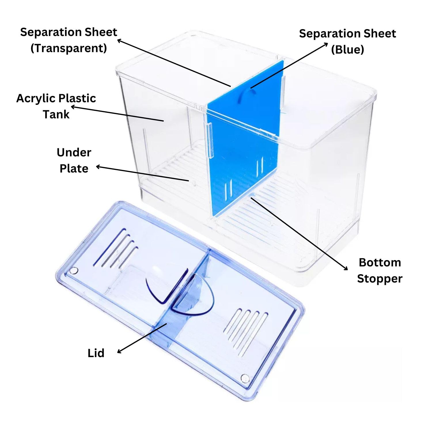 Dophin BT104 Aquarium Betta Fish Tank | Ideal for Betta, Small Fishes and Plant Keeping | Capacity - 1L Fish Tank
