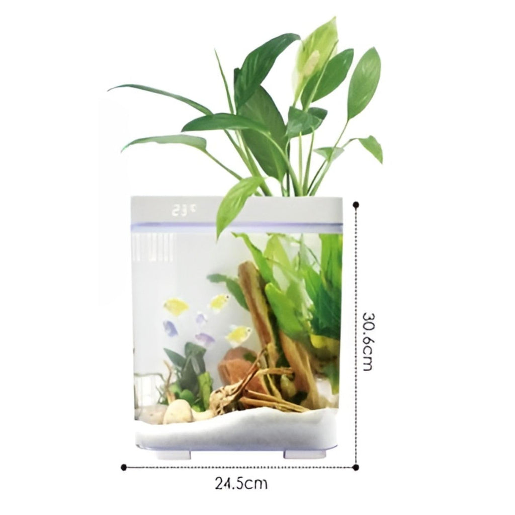 Dophin BT 120 Mini Aquarium Fish Tank | Complete Filtration | Compact and Elegant | Planting Basket | Capacity - 10 L Fish Tank (Original from Store)