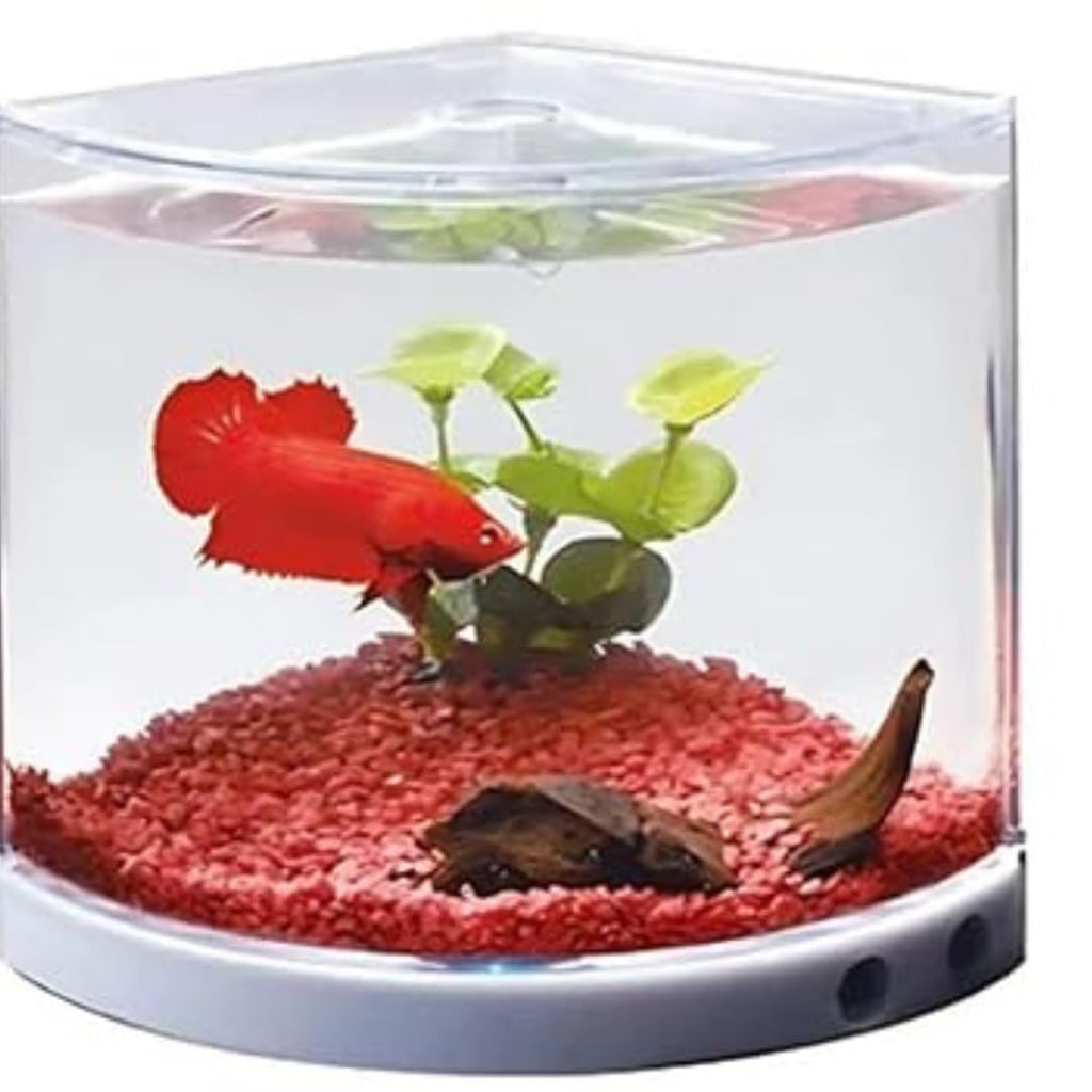 Dophin T201 Mini Aquarium Fish Tank | Changeable Light | Elegant and Stylish Design | Ideal for Betta, Small Fish and Plant Keeping | Capacity - 1.4L Fish Tank