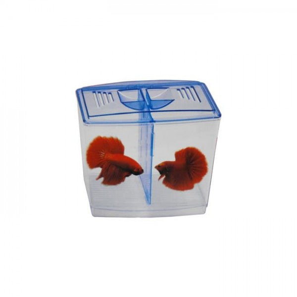 Dophin BT104 Aquarium Betta Fish Tank | Ideal for Betta, Small Fishes and Plant Keeping | Capacity - 1L Fish Tank