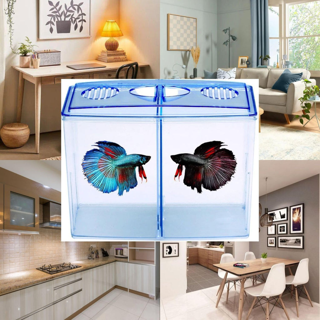 Dophin BT104 Aquarium Betta Fish Tank | Ideal for Betta, Small Fishes and Plant Keeping | Capacity - 1L Fish Tank