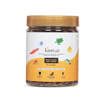KEETUP Dried Black Soldier Fly Larvae Treat Fish Food (100 Gram) For Arowana Oscar, Flowerhorn & Other Carnivorous Fishes Omega 3 & 6, 50X More...