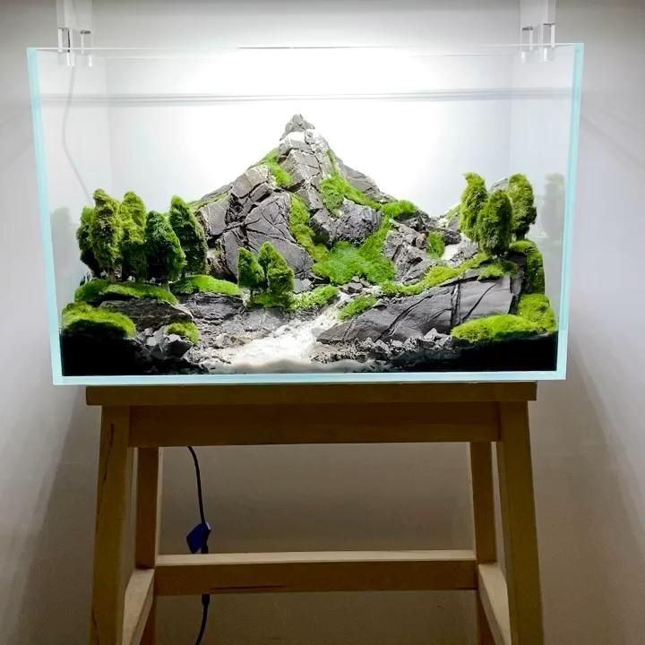 Aquarium with mountain landscape