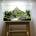 Aquarium with mountain landscape