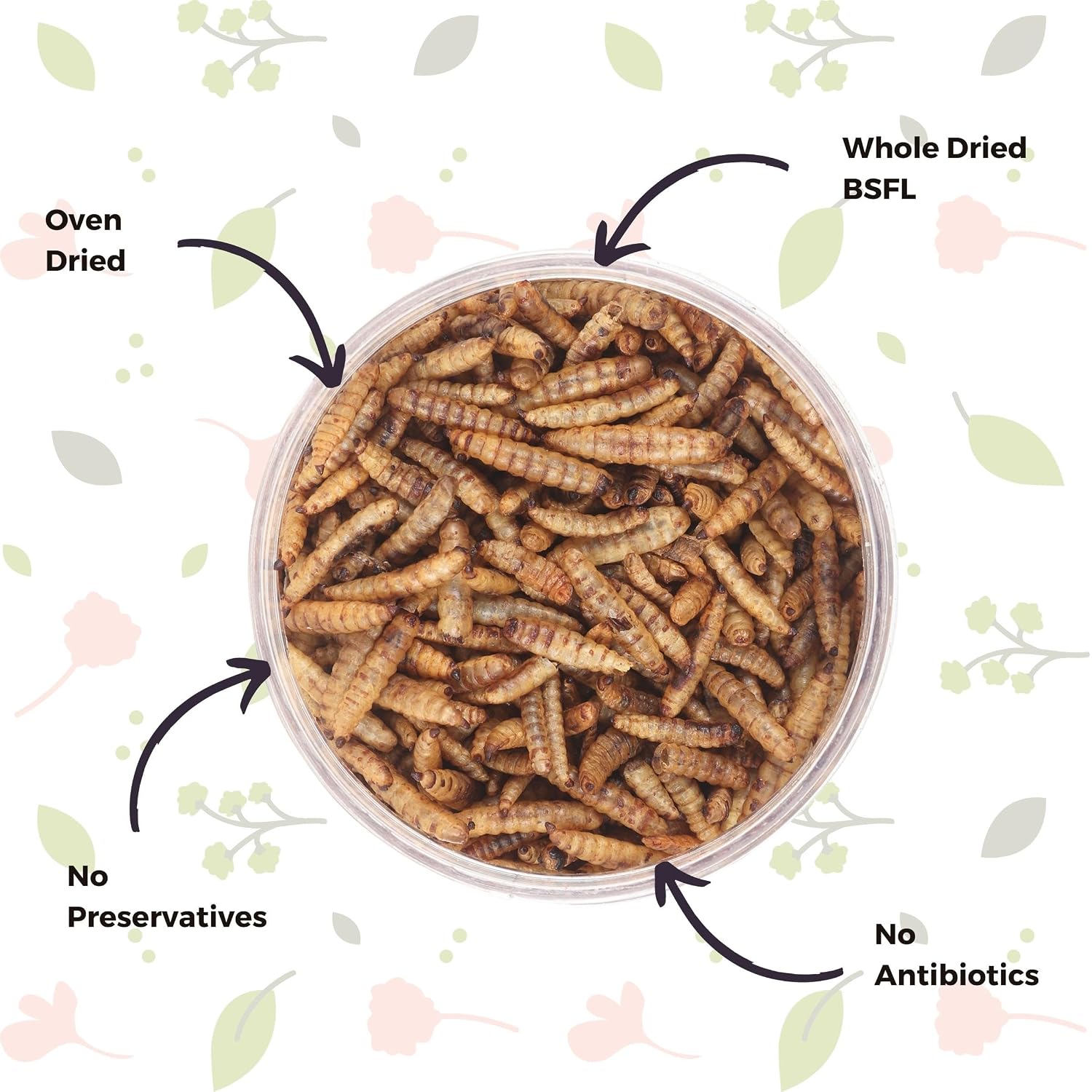 KEETUP Dried Black Soldier Fly Larvae Treat Fish Food (100 Gram) For Arowana Oscar, Flowerhorn & Other Carnivorous Fishes Omega 3 & 6, 50X More...