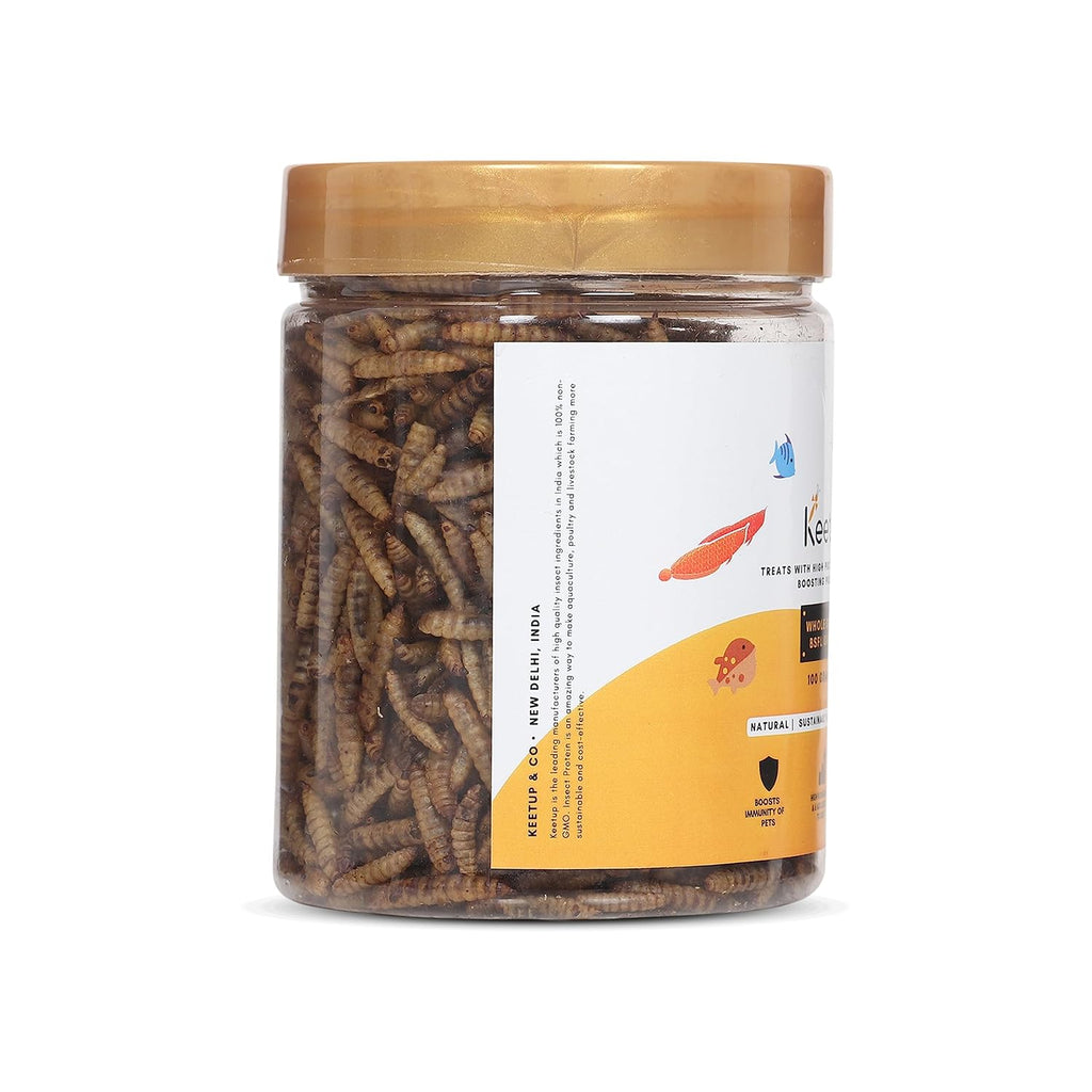KEETUP Dried Black Soldier Fly Larvae Treat Fish Food (100 Gram) For Arowana Oscar, Flowerhorn & Other Carnivorous Fishes Omega 3 & 6, 50X More...