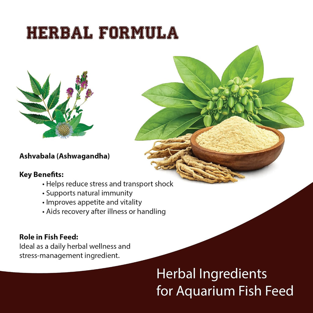 Taiyo 32 Herbal Based All Aquarium Fish Food, Floating Mini Pellets, 100g | Premium Nutritious Fish Feed for Goldfish, Guppy, Molly, Tetra & Tropical...