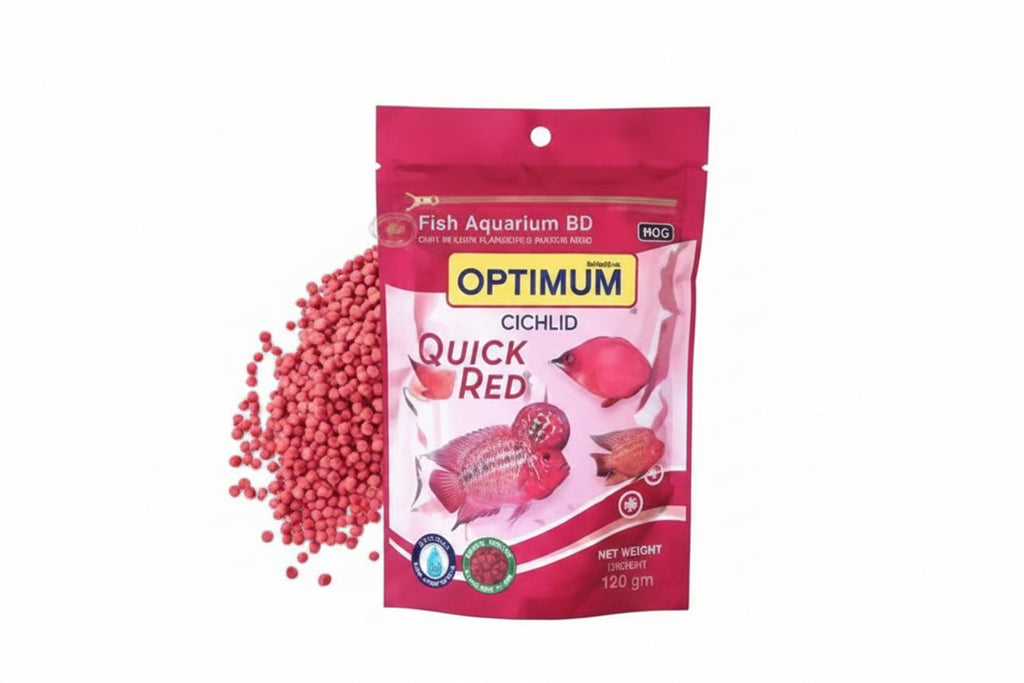 Cichlid quick red Food