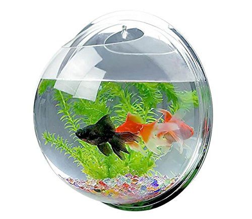 9 Inches Wall Aquarium