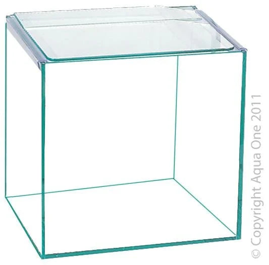 Betta Cube Tank