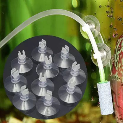 Suction Cup
