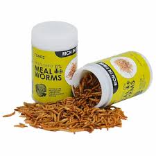 Meal worm (freeze dried)