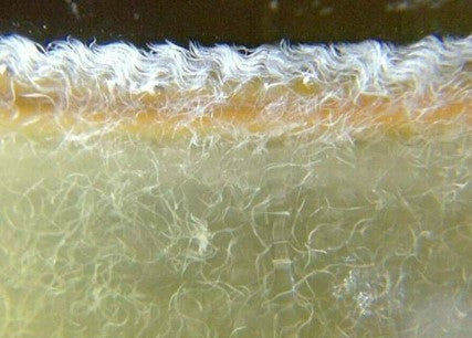 Vinegar Eel (1 Packet)