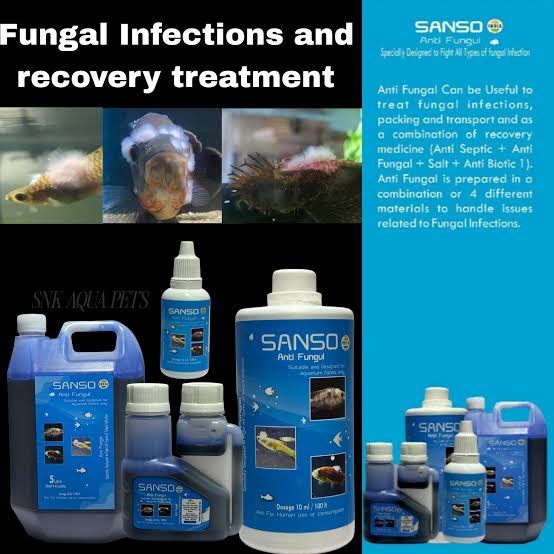 AntiFungul Medicine (30ML/ 100ML/ 1LT) (Sanso)
