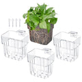 Transparent Plant Holder