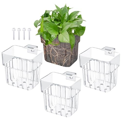 Transparent Plant Holder