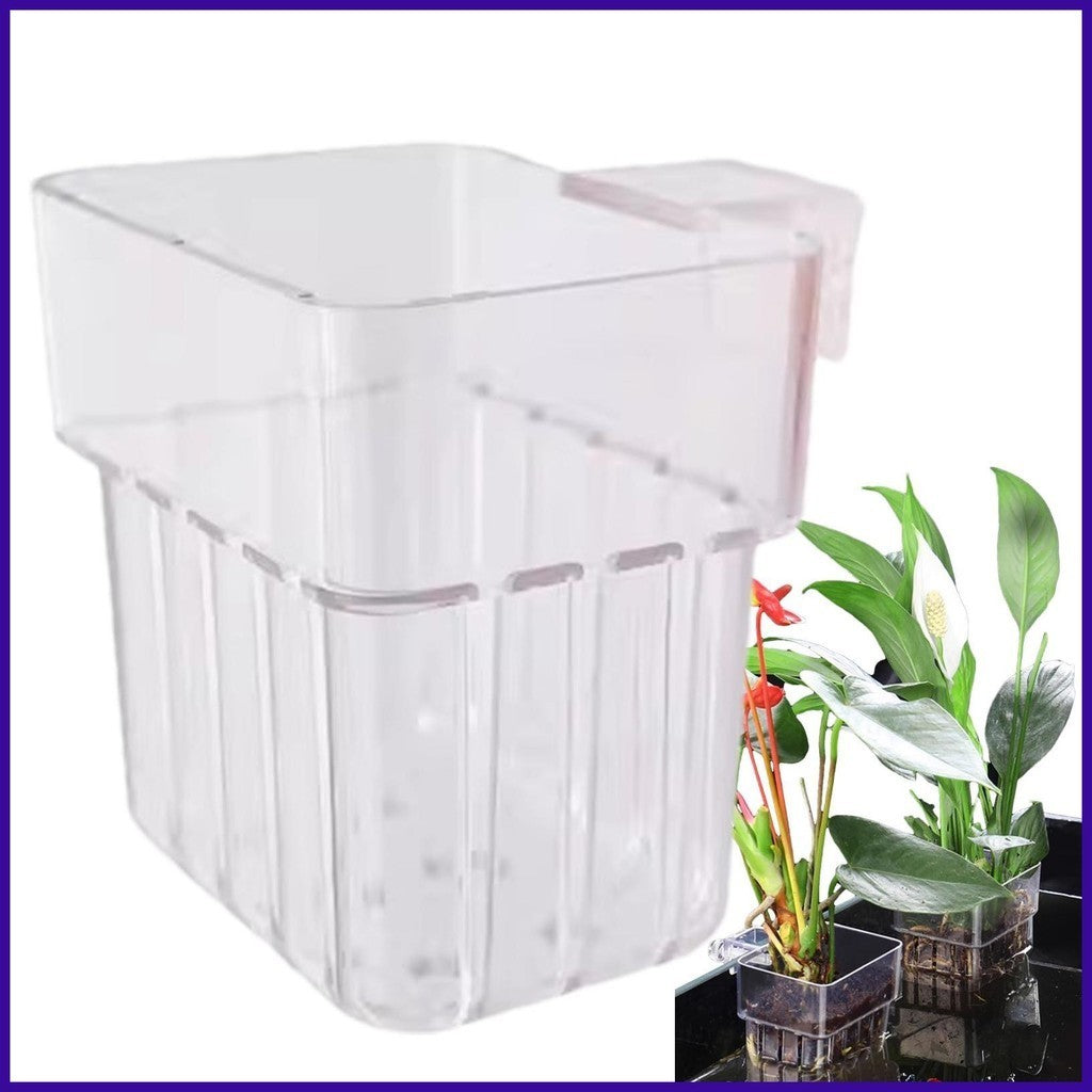 Transparent Plant Holder