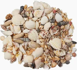 Mixed Sea Shells (1/2 kg)